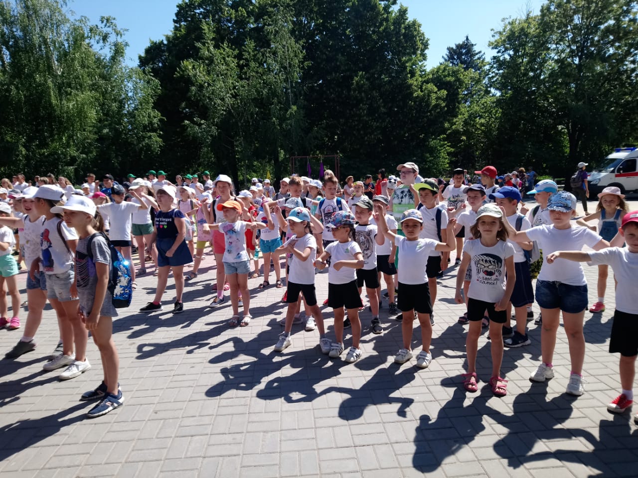 IMG 20190620 WA0044