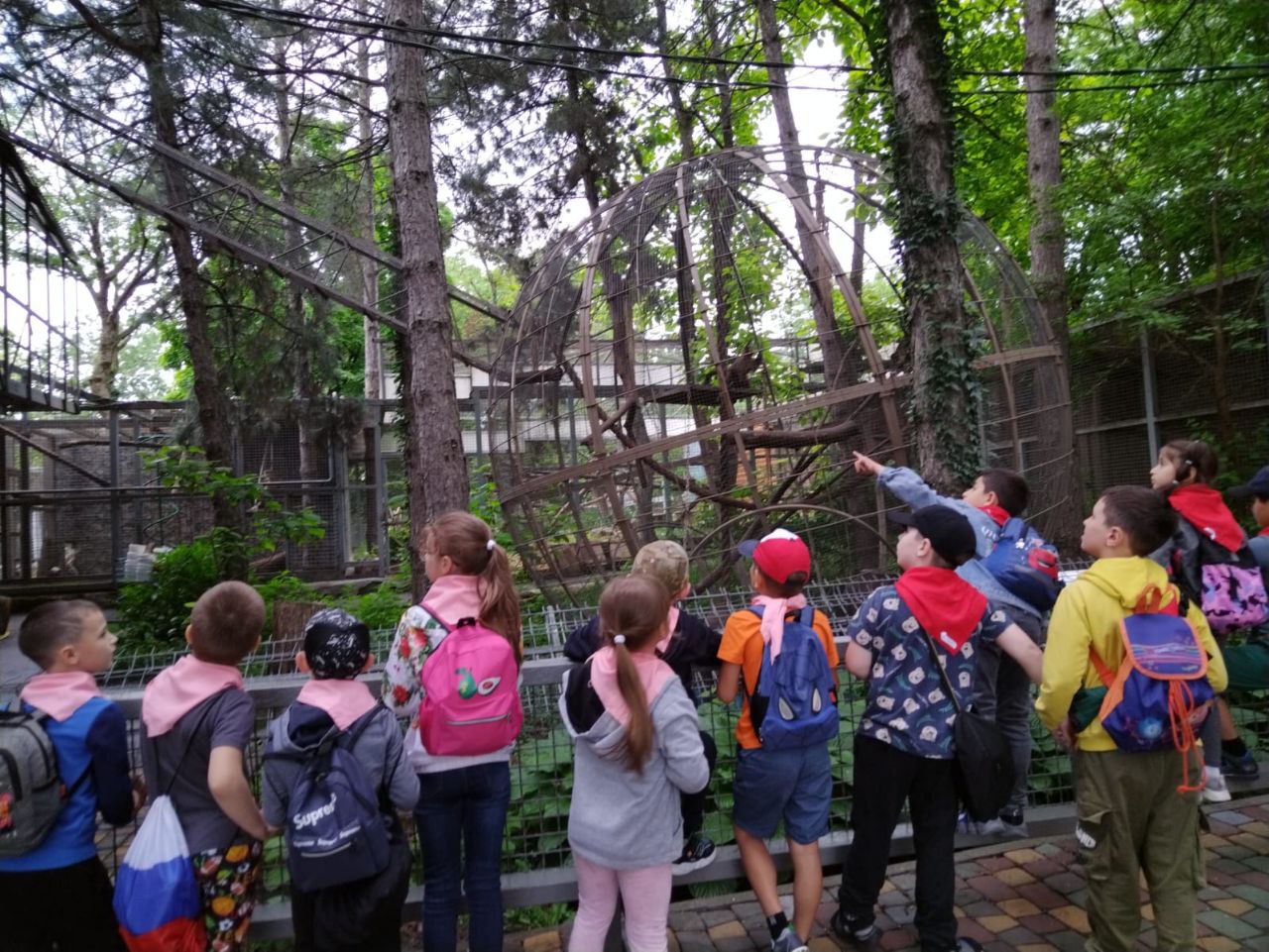 photo 2023 06 17 16 37 16