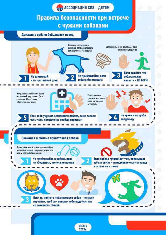 собаки Страница 2